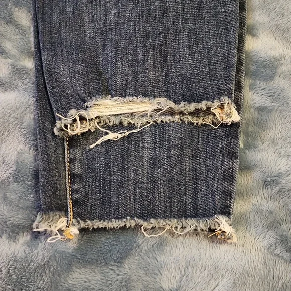 Lane Bryant Jeans - Picture 7 of 8